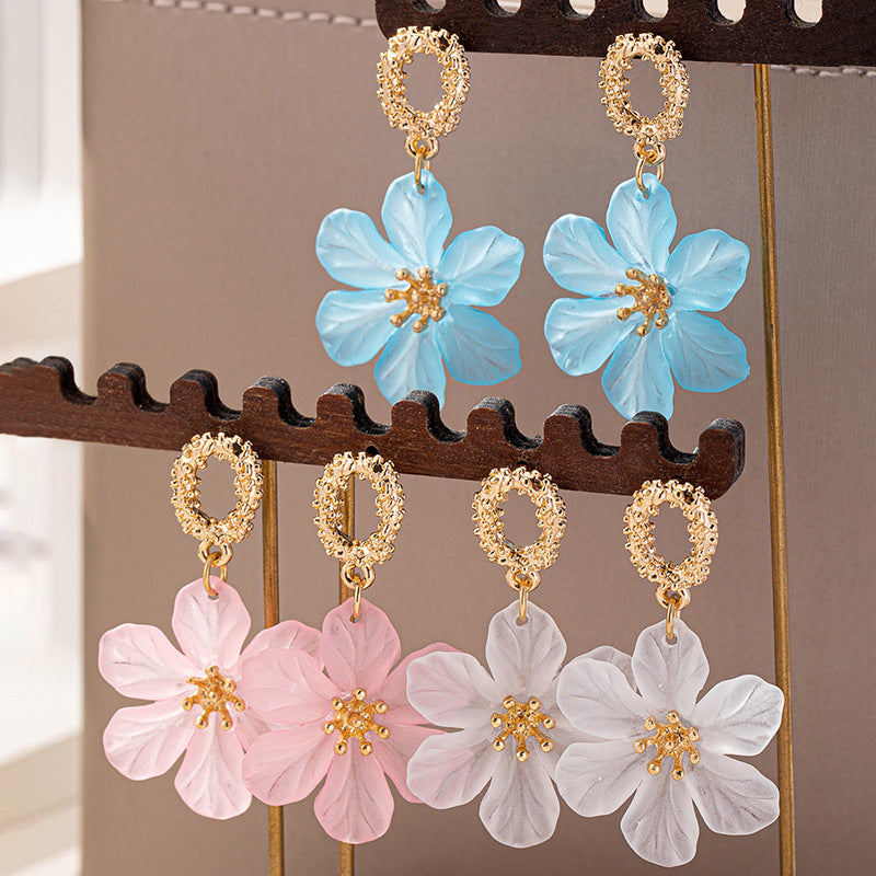 Aretes accesorio