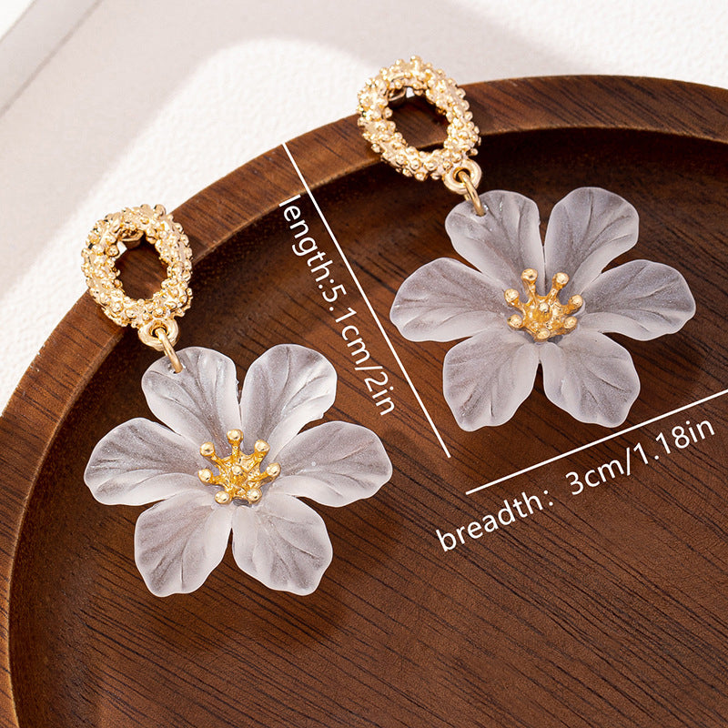 Aretes accesorio